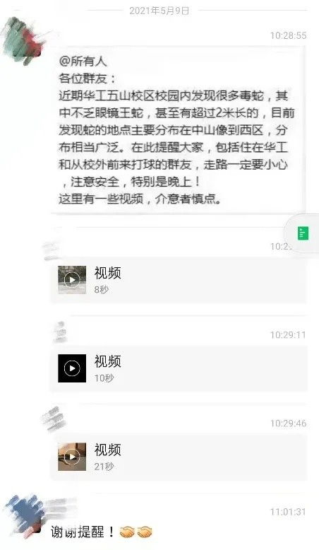 校園驚現近2米眼鏡王蛇 廣州某高校緊急處置確保師生安全